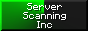 'server scanning inc' in white text on top of a green radar animation