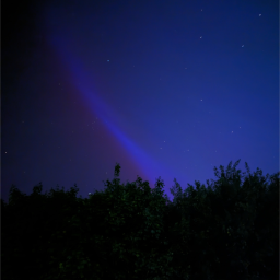 blue and purple sky above black trees